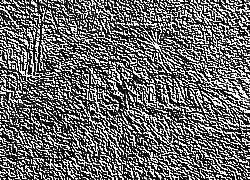 Skamielina