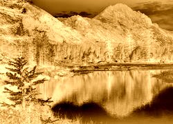 Sepia + Negatyw