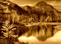 Sepia