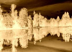 Sepia + Negatyw