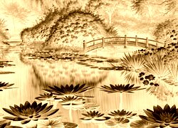 Sepia + Negatyw