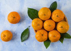 Oryginalny obrazek