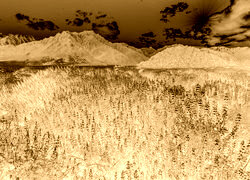 Sepia + Negatyw
