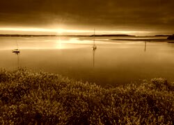 Sepia