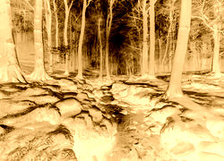 Sepia + Negatyw