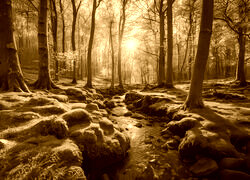 Sepia
