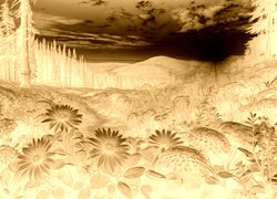 Sepia + Negatyw