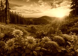 Sepia