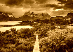 Sepia