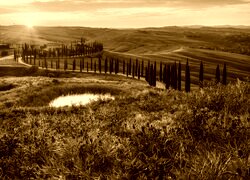 Sepia