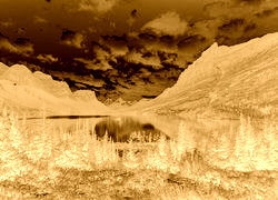 Sepia + Negatyw