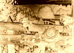 Sepia + Negatyw