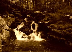 Sepia