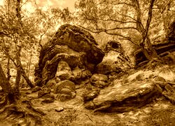 Sepia