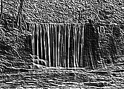 Skamielina