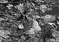Skamielina