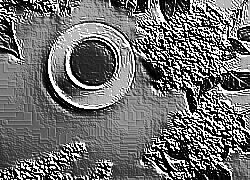 Skamielina