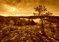 Sepia
