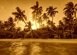 Sepia