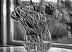 Skamielina