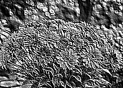 Skamielina