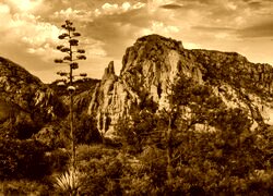 Sepia