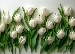 Oryginalny obrazek