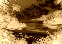 Sepia + Negatyw