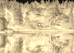 Sepia + Negatyw