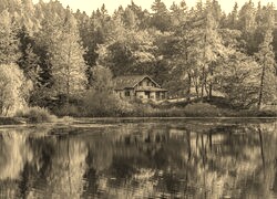 Sepia