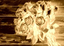 Sepia + Negatyw