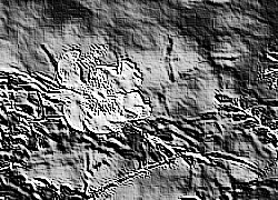 Skamielina