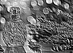 Skamielina