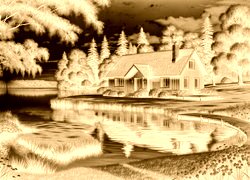 Sepia + Negatyw