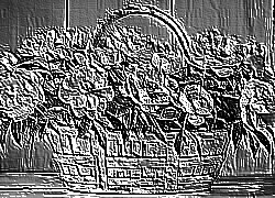 Skamielina