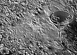 Skamielina