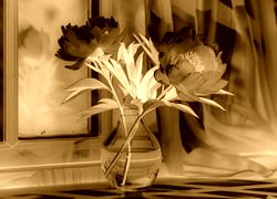 Sepia + Negatyw