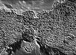 Skamielina