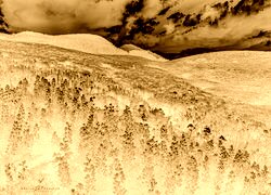 Sepia + Negatyw