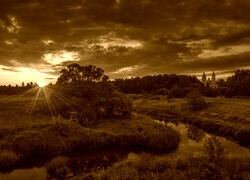 Sepia
