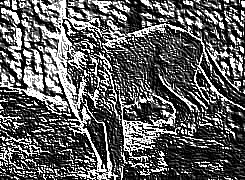 Skamielina