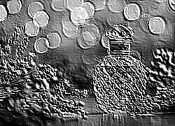 Skamielina