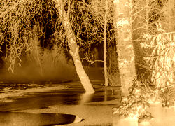 Sepia + Negatyw