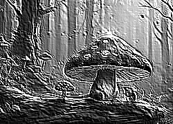 Skamielina