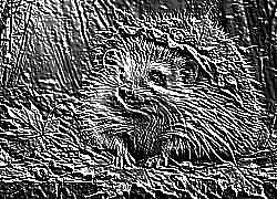 Skamielina