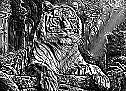 Skamielina