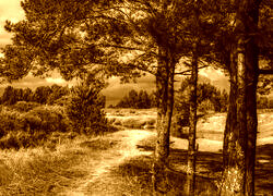 Sepia