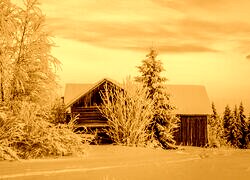 Sepia