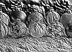 Skamielina