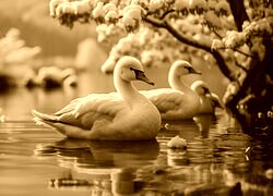 Sepia